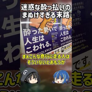 【１分解説】迷惑すぎる酔っ払いの間抜けすぎる末路【ゆっくり解説】#shorts
