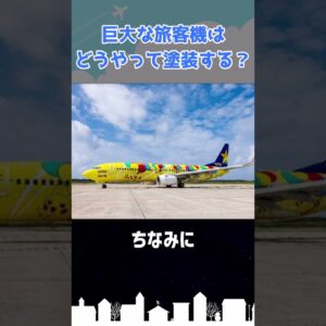 旅客機の塗装はまさかの○○○ #shorts