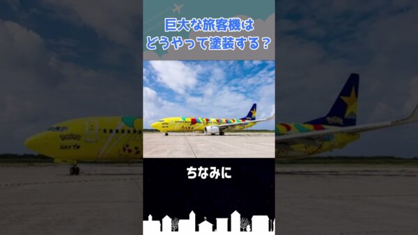 旅客機の塗装はまさかの○○○ #shorts