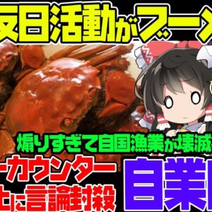 中国、ガイガーカウンター発売禁止にするも自分たちの環境がやばい事にやっと気づいた模様【ゆっくり解説】