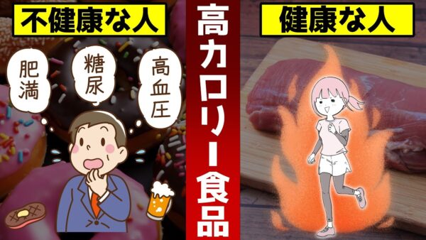 【ゆっくり解説】健康な人ほど選ぶ！避けがちな超高カロリー食品