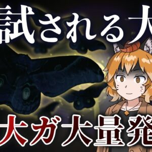 【異常事態】巨大蛾「クスサン」が北海道で大量発生！？一体何が起きているのか…