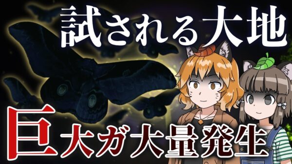 【異常事態】巨大蛾「クスサン」が北海道で大量発生！？一体何が起きているのか…