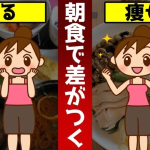 【ゆっくり解説】太る朝食と痩せる朝食！体脂肪が激減！どんどん痩せる方法
