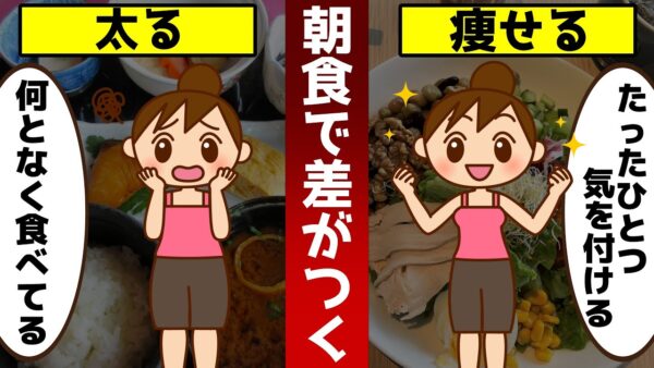 【ゆっくり解説】太る朝食と痩せる朝食！体脂肪が激減！どんどん痩せる方法