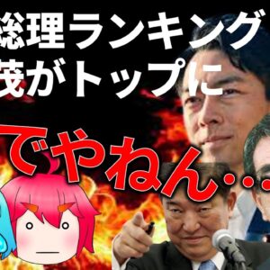 【ゆっくり解説】次の総理大臣は誰になる？＆石破・河野・小泉の謎の人気の秘訣