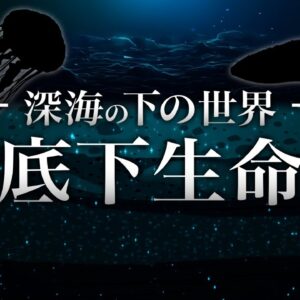 【海底下生命圏】地球で最も過酷な深海の地下に暮らす極限生物たち