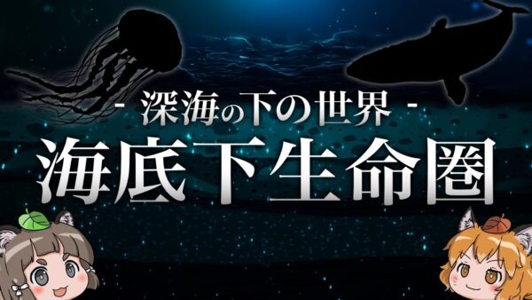 【海底下生命圏】地球で最も過酷な深海の地下に暮らす極限生物たち