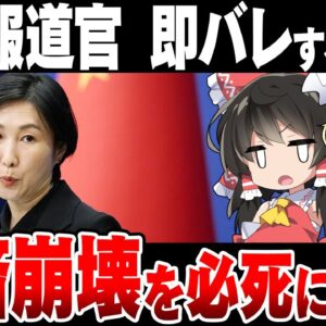 【バカ？】中国報道官「中国経済は破綻してません！」→めちゃくちゃ嘘とばれている模様