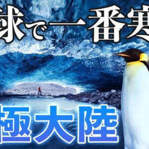 【極限環境】南極ってどんな生き物がいるの？あなたの知らない極寒の世界