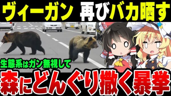 日本ヴィーガン協会が「ヒグマは殺さず共存を」と主張、森にドングリを撒く活動を実施して北海道庁が激怒【ゆっくり解説】