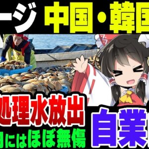 【処理水放出1か月】水産物でダメージがあったのは中国と韓国だけだった模様【ゆっくり解説】