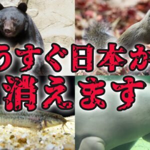 【絶滅間近】実は絶滅危惧種の日本の生き物10選 パート2