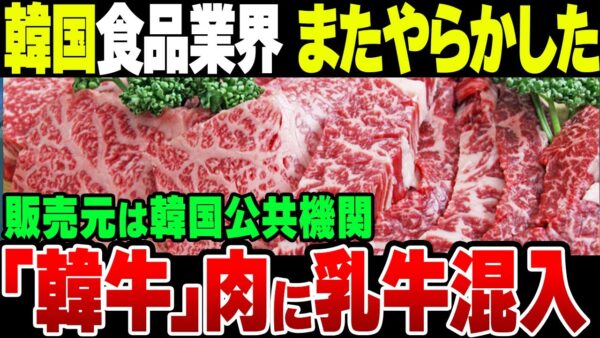 韓国公共機関が販売した「1等級」韓牛から乳牛のDNA検出【ゆっくり解説】