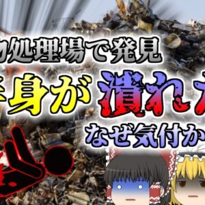 【2001年】「何か引っかかったかもしれないけどまぁいいか」→同僚がキャタピラに轢かれて潰れていた『産業廃棄物処理場重機接触事故』【ゆっくり解説】