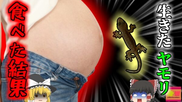 【2018年】『食ってやるよ！』度胸試しで生きたヤモリを口にした男性 細菌と寄生虫で地獄の苦しみを味わい10日後に4亡【ゆっくり解説】