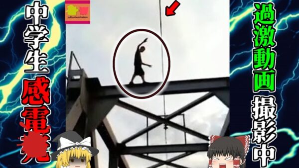 【2018年】中二男子「バズりそうだし、電車に飛び乗る映像撮ろうぜ!」→高圧電線に触れ黒焦げに【ゆっくり解説】