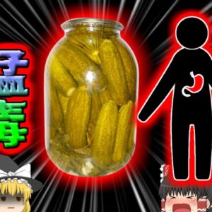 【2020年】「パパが真っ黒になって起きてこないの」→ベッドルームで壊〇した両親 発見される 原因は