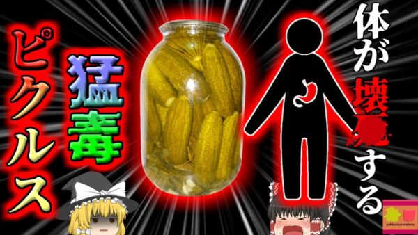 【2020年】「パパが真っ黒になって起きてこないの」→ベッドルームで壊〇した両親 発見される 原因は