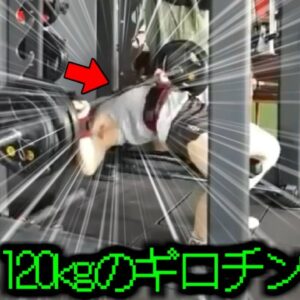 【2023年】自称筋トレインフルエンサー 「今日は記録更新するぜ！」→120kgのバーベルを持ち上げられず窒息 その様子が配信される【ゆっくり解説】