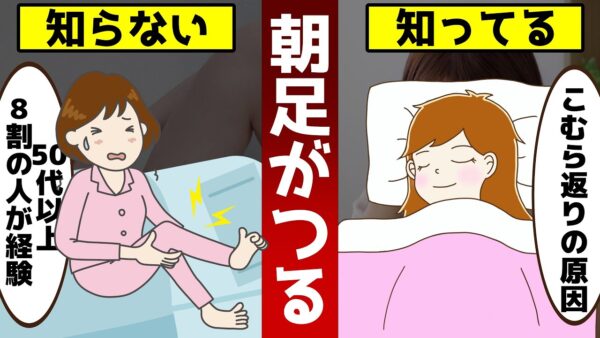 【ゆっくり解説】夜中に足がつる40代50代必見！こむら返りの本当の原因は○○不足が関係していた