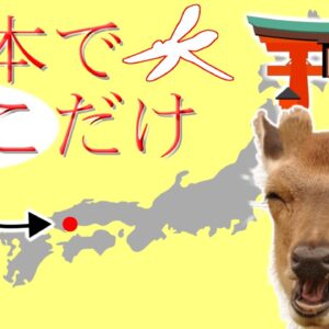 【ゆっくり解説】#41 ミヤジマトンボ～奇跡のトンボ～