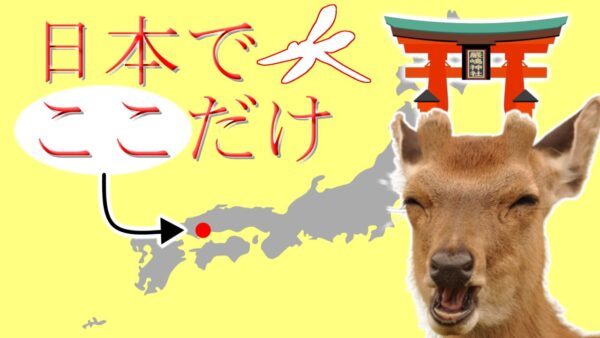 【ゆっくり解説】#41 ミヤジマトンボ～奇跡のトンボ～