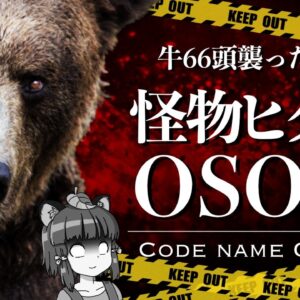 【総集編】牛66頭を襲った怪物ヒグマ「OSO18」｜北海道を震撼させたクマの正体とは…