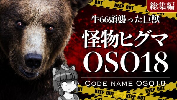 【総集編】牛66頭を襲った怪物ヒグマ「OSO18」｜北海道を震撼させたクマの正体とは…
