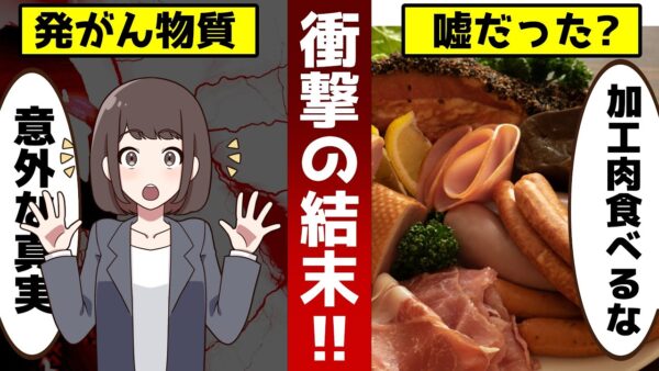 【ゆっくり解説】加工肉が危険は嘘なのか！？WHOが訂正していた衝撃の事実とは