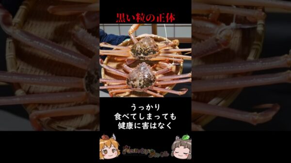 カニの甲羅にある黒い粒の正体 #shorts #へんないきものチャンネル
