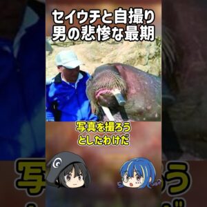 【１分解説】危険動物に遊びで○害された男性【ゆっくり解説】#shorts