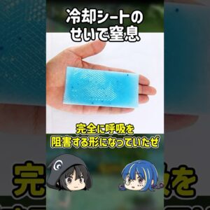 【１分解説】冷却シートが原因で起きた悲惨な事故とは【ゆっくり解説】#shorts
