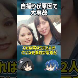 【１分解説】自撮りが原因で命を落とした事故【ゆっくり解説】#shorts