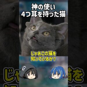 【１分解説】神の使いと呼ばれた猫【ゆっくり解説】#shorts