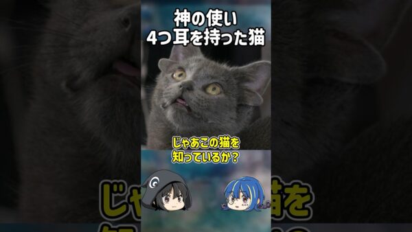 【１分解説】神の使いと呼ばれた猫【ゆっくり解説】#shorts