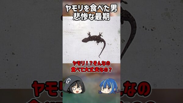 【１分解説】クリスマスにとんでもないものを食べた男【ゆっくり解説】#shorts