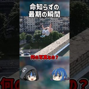 【１分解説】命知らずの悲惨すぎる末路とは【ゆっくり解説】#shorts