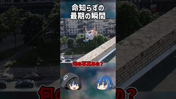 【１分解説】命知らずの悲惨すぎる末路とは【ゆっくり解説】#shorts