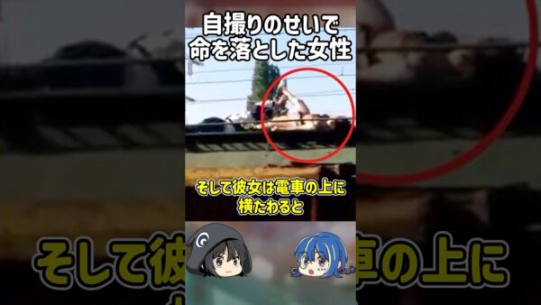 【１分解説】究極の自撮りのせいで命を落とした女性とは【ゆっくり解説】#shorts