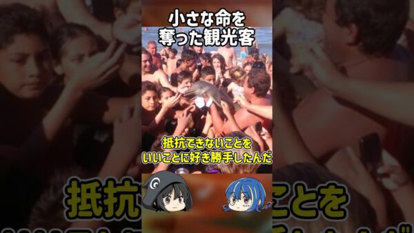 【１分解説】○○○の命を奪ったヤバすぎる観光客【ゆっくり解説】#shorts