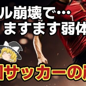 【ゆっくり解説】中国サッカーバブルの崩壊を語る【サッカー】