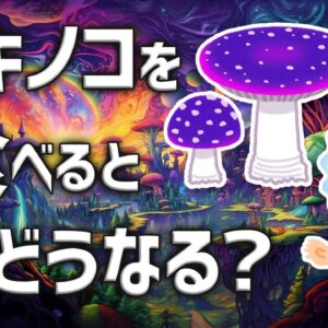 【猛毒】毒キノコを食べるとどうなる？無人直売所で誤って売られてしまい…