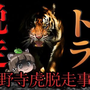 【神野寺虎脱走事件】お寺のトラが脱走！？日本中が恐怖した昭和最大の脱走事件