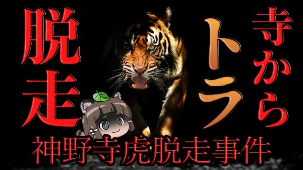 【神野寺虎脱走事件】お寺のトラが脱走！？日本中が恐怖した昭和最大の脱走事件