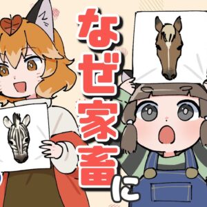 【漫画】シマウマはなぜ家畜にならないのか【マンガ動画】