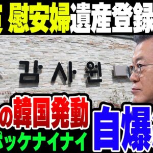 韓国　ビジネス慰安婦をユネスコに登録しようとするも、その活動費用さえポッケナイナイされていた模様【ゆっくり解説】