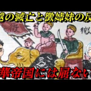 南越の滅亡と徴姉妹の反乱　ベトナム怒りの抵抗