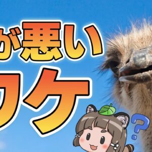 【疑問】ダチョウの頭はなぜ悪いのか？→実はバチクソスゴい動物です