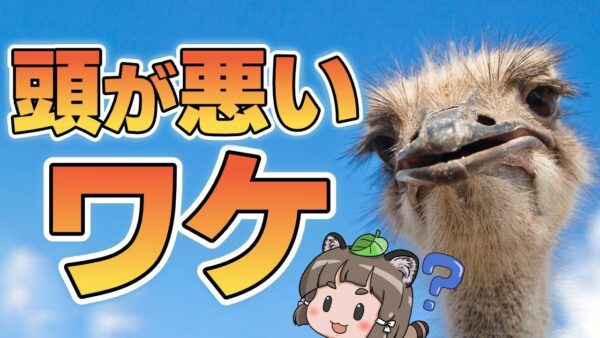 【疑問】ダチョウの頭はなぜ悪いのか？→実はバチクソスゴい動物です